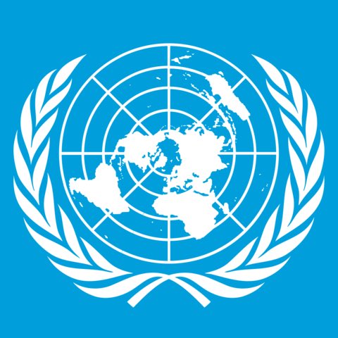UN Security Council Approves Short-Term Renewal of UNAMA Mission Until June 2026