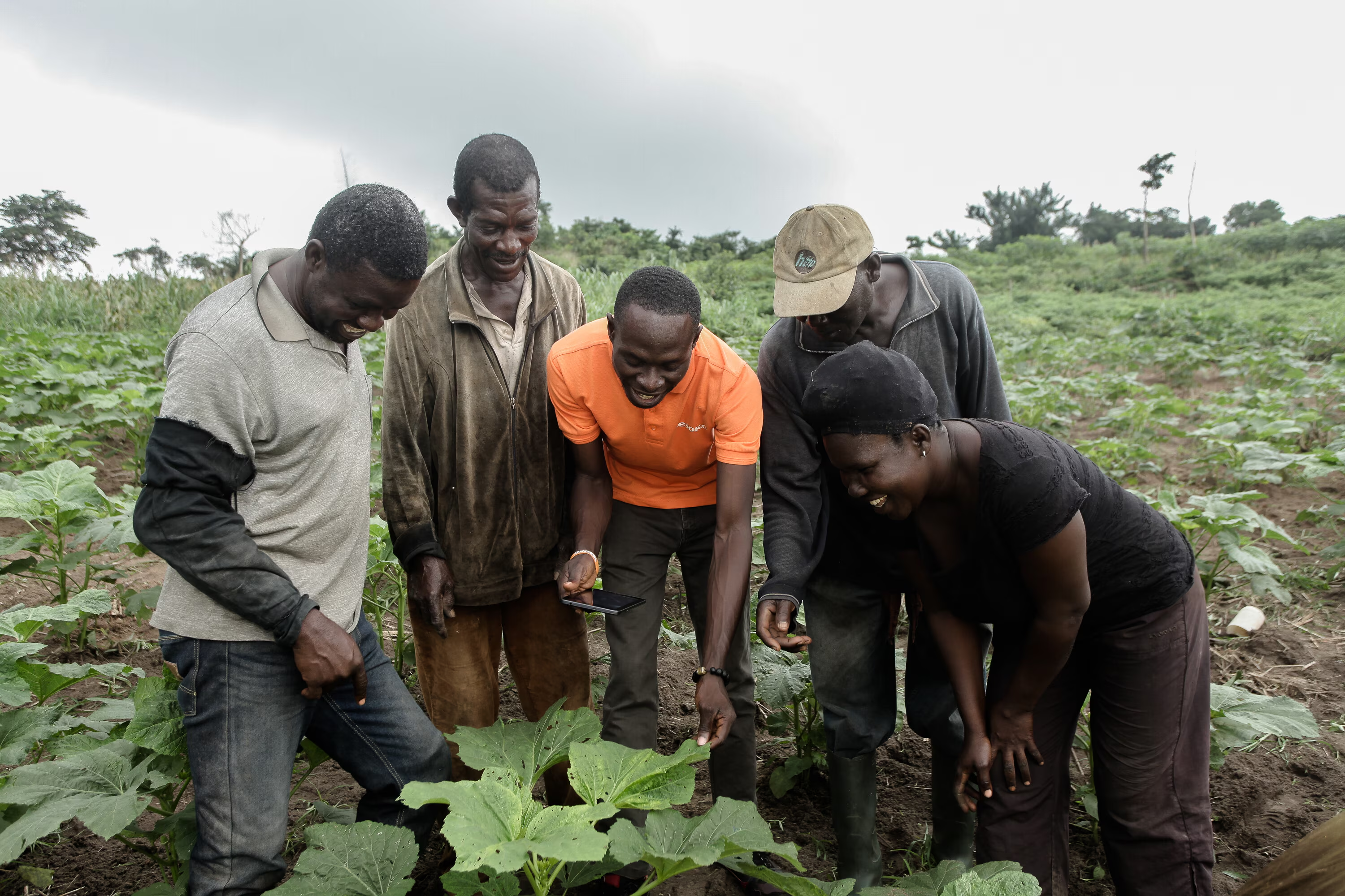 Africa’s Social Economy: Driving Development from the Ground Up